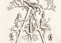 Lettera A, allegoria dedicata ad Adamo, foglio cm. 50x70, bulino