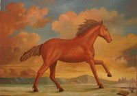 Cavallo moro, cm. 50x70, olio su tela 